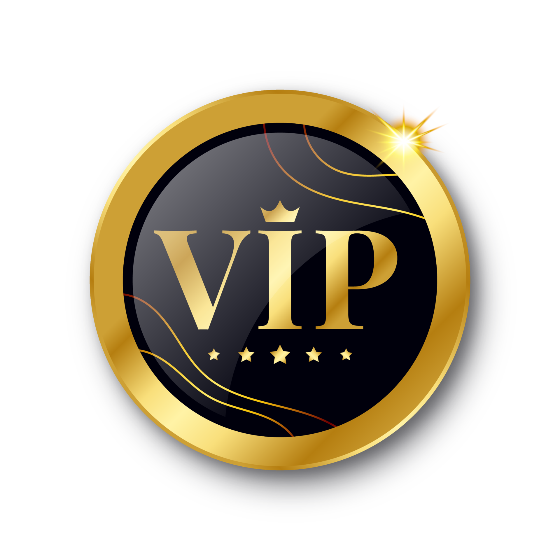 ZZ-MYY VIP Exclusive Payment Portal Orders Balance Top-Up & Express Shipping