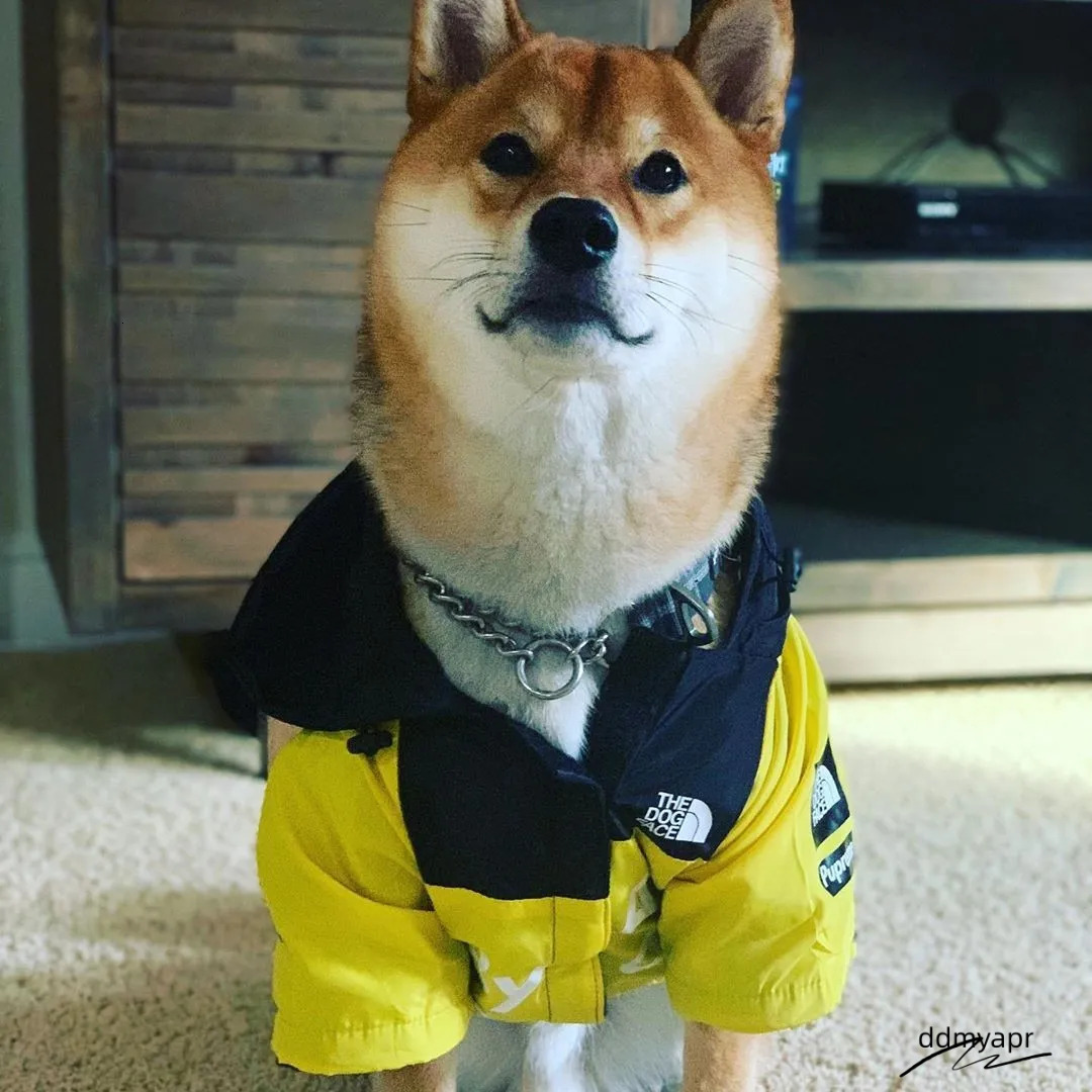 Waterproof Dog Raincoat With Adjustable Hood Tail Drawstring - Outdoor Rain Jacket For Small, Medium, ddmyApr And Large Dogs