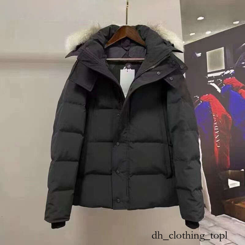 Canadaly Goosecoatly AAAA 2025 New Designer Down Jacket Candian Candle Crofton Canadian White Duck Down Men Winter Coat With Badge Quality Canada Coats Goossely Ead