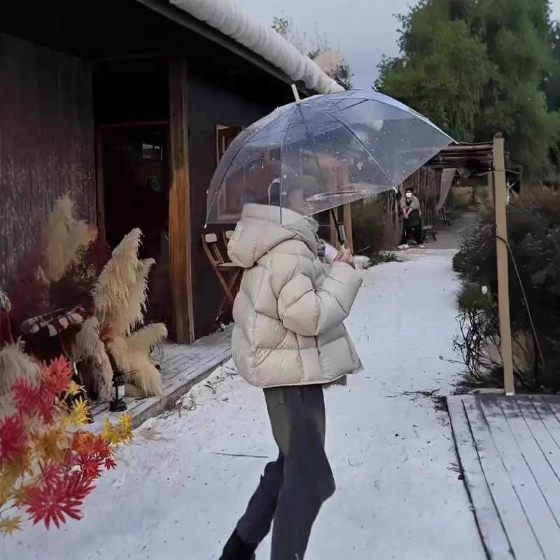 Green Short Down Jacket Hooded Female Fashion GoodLooking Puffer Jacket Thicken New Puffer Coat Tops Keep Warm Winter CoatT251018