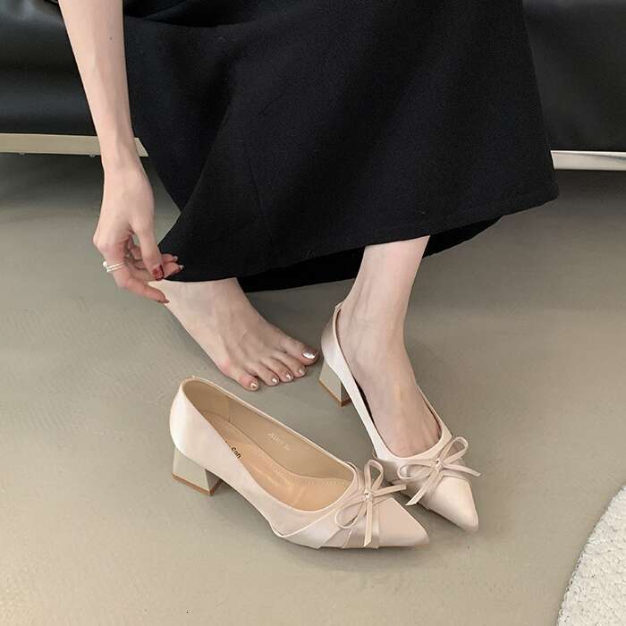 French Style Pointed Toe Single Shoes for Women, Chunky Heel 2025 New Designer Shoe Gentle Style, Elegant Bowknot Mid-Heel Shoes, High Heels