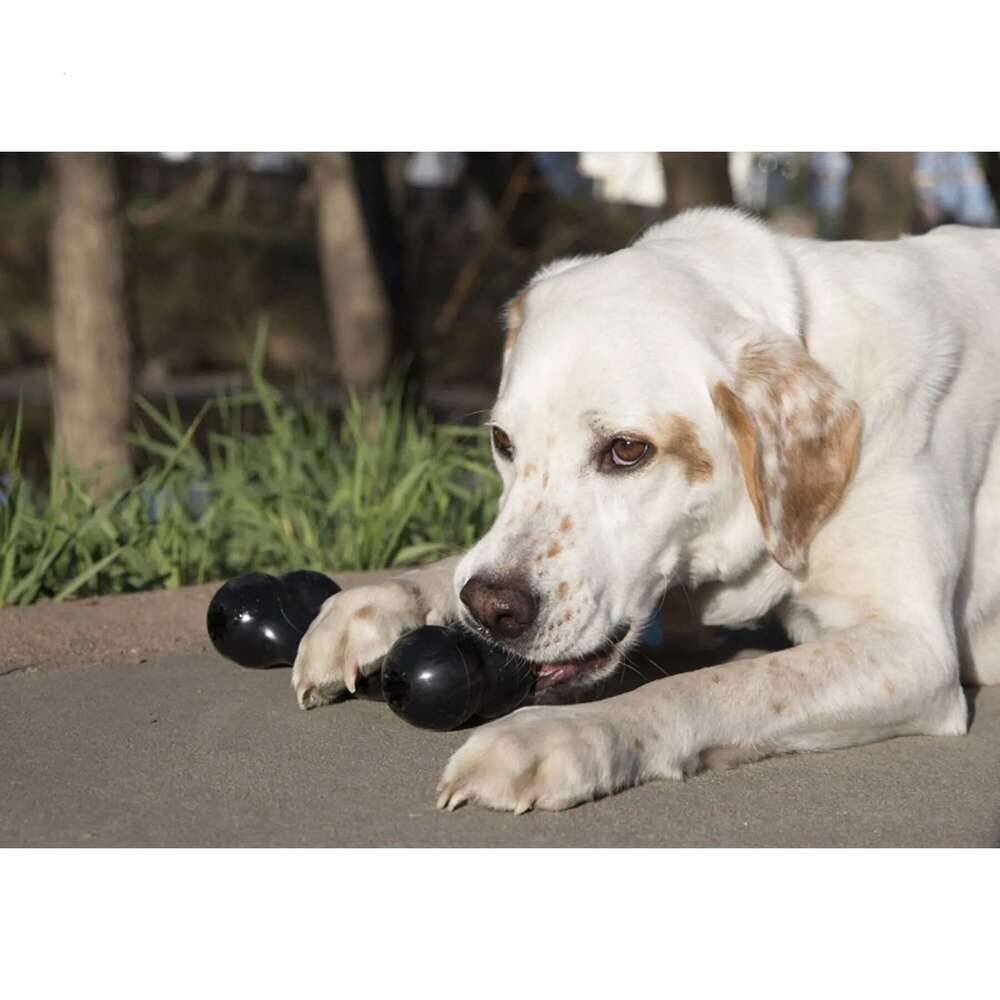 2025 new KONG Extreme Goodie Bone Dog Toy
