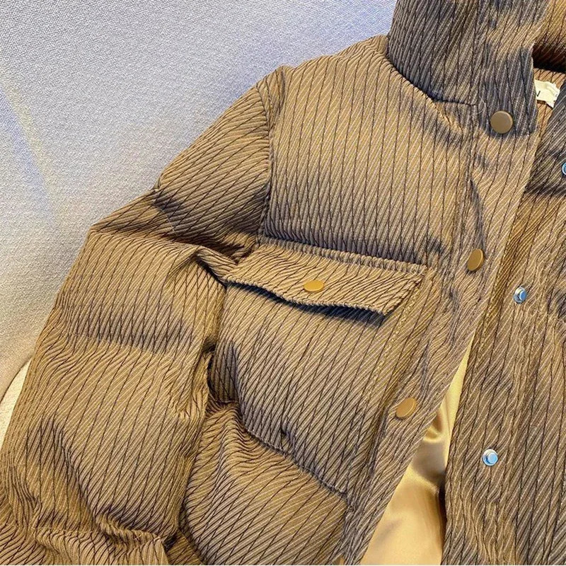 Winter Warm Parkas Coats Women Fashion Loose Standing Collar Crop Down Jacket Y2K Korean AllMatch Zipper Outerwear 251017