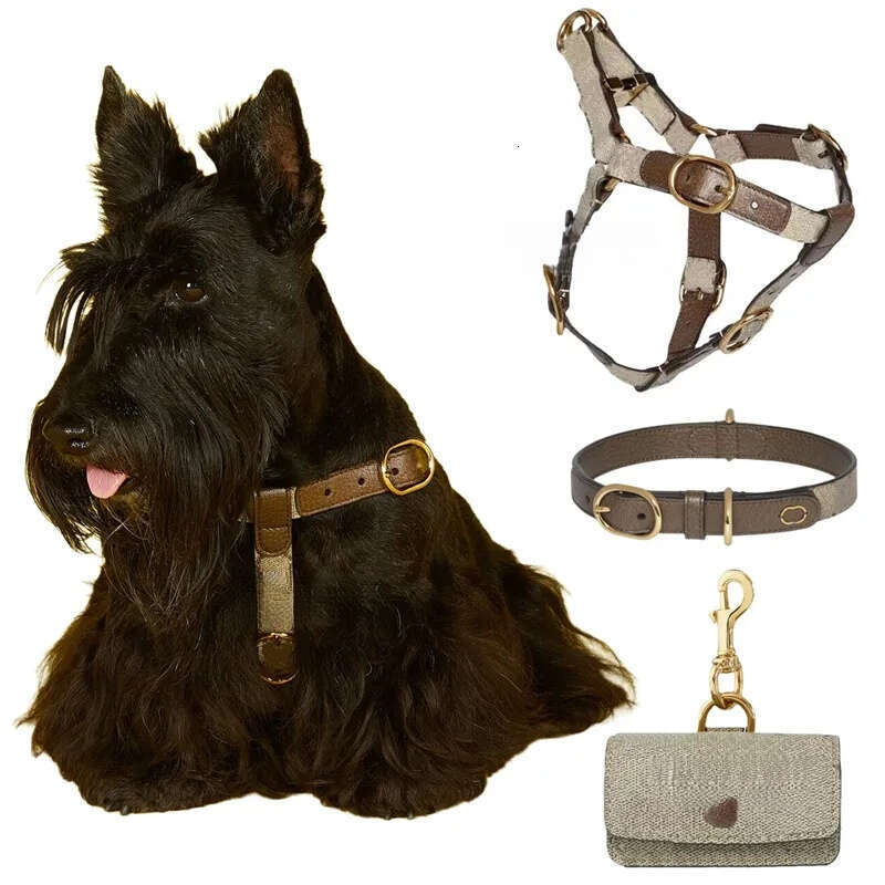 2025 new Pet set Original Design Puppy Collar Accessories Dog Designer Harness and Leash Set Leather Collars With Pop Bag Sets Brown XS B162