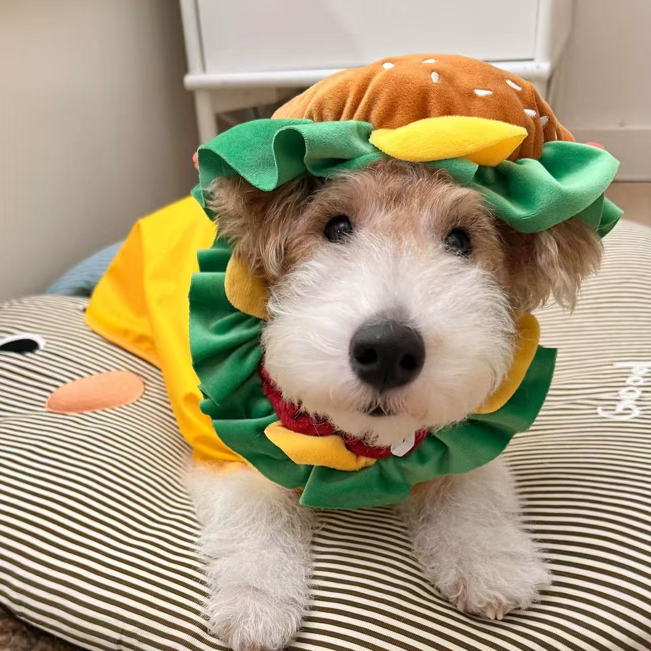 T1703 Hamburger Pet Headgear Collar Hat Cute Dog Cat Elizabethan Collar Adjustable Elastic Photo Props