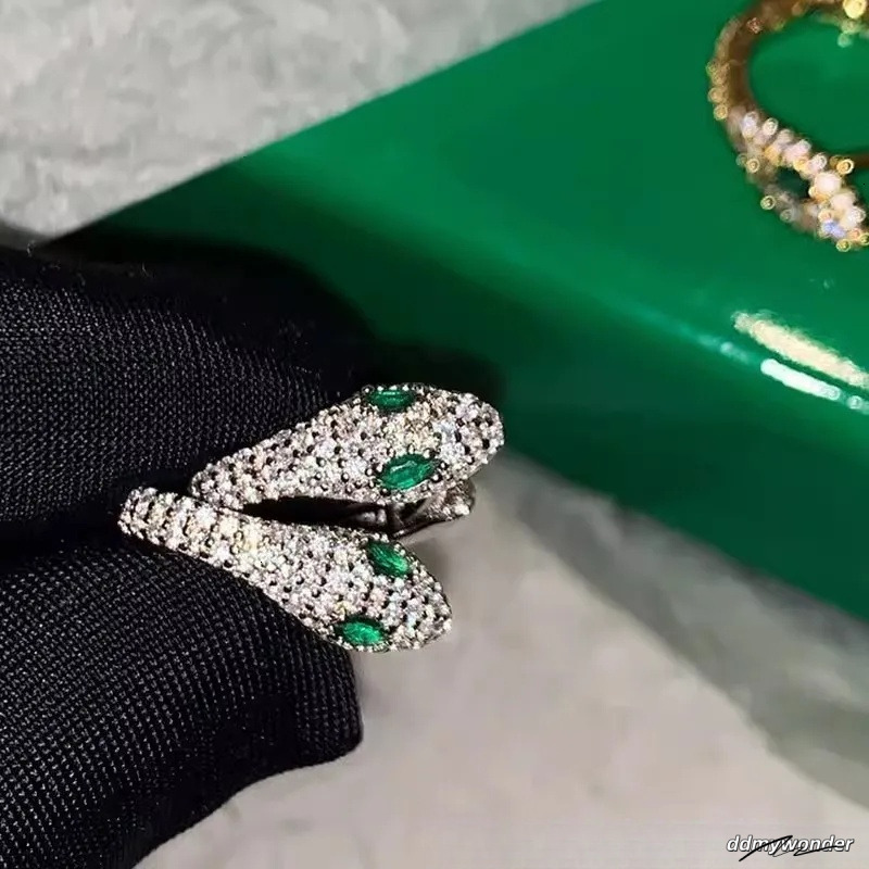 S Sterling Sier Serpentine Earrings For Women - Fashion Micro Zircon Inlaid Bright Hip Hop Style Ddmywonder