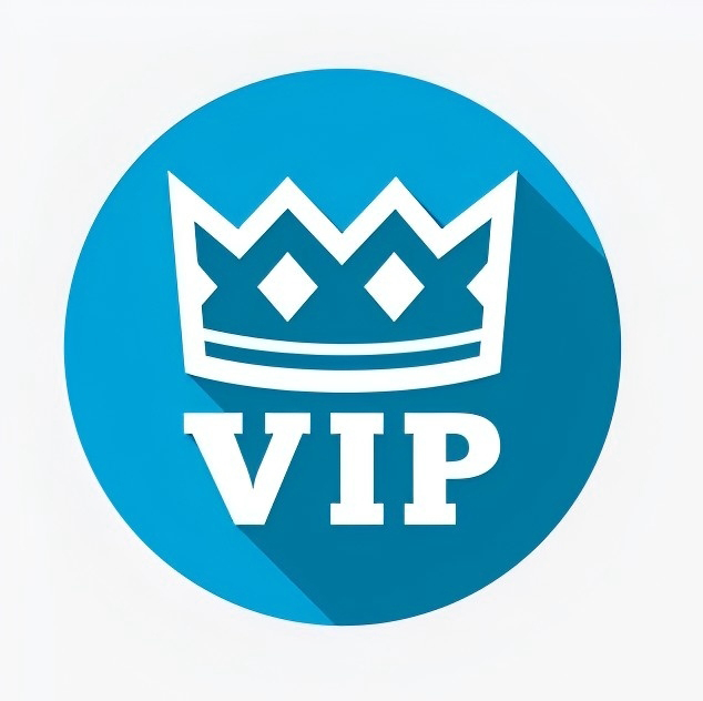 10A Mirror Quality More style bag shoe belt consultation and purchase payment link VV1