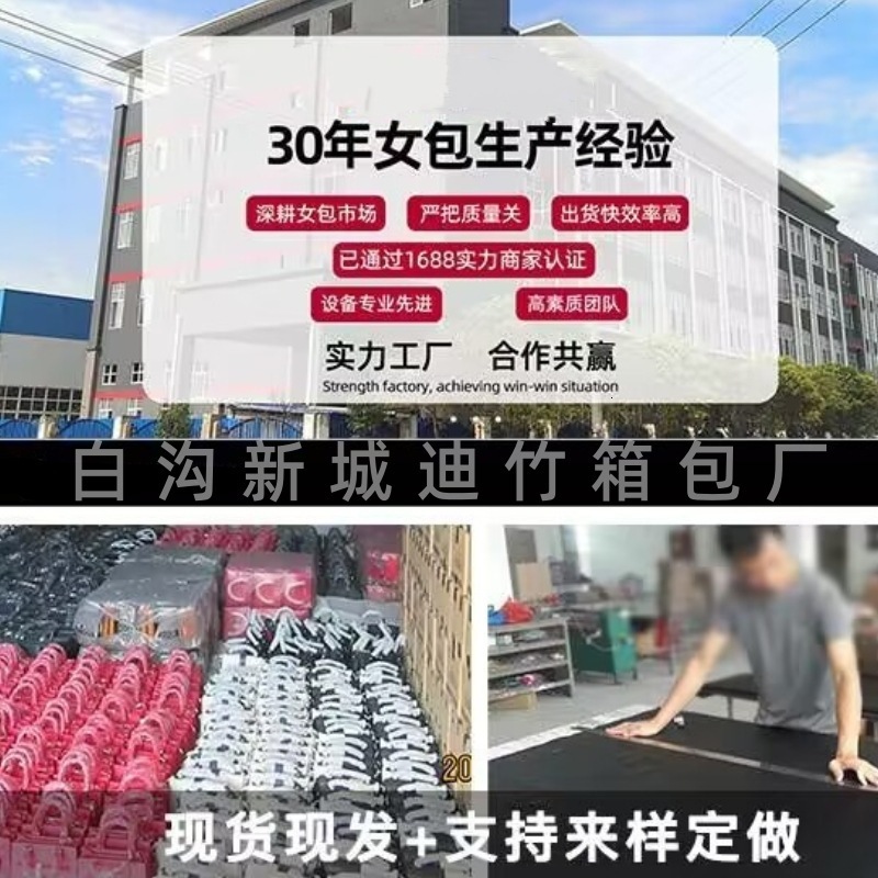 Luxury Brand Designer Bag Gothic Style Rivet Handbag For Women 2024 Winter New Motorcycle Style Skull And Crossbones Decor Crossbody Bag