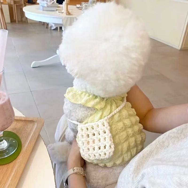 T1724 Summer Thin Dog Clothes Pomeranian Bichon Teddy Princess Dress Cat Bubble Suspender Small Dog One-Piece Dress