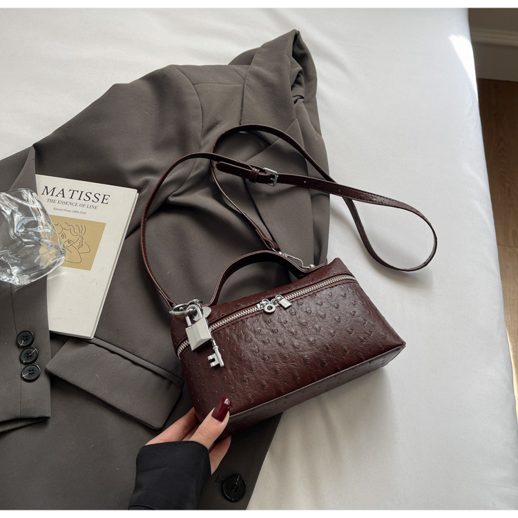 Luxury Brand Designer Bag Casual Lunch Box Bag For Women 2025 Summer High-End Handheld Makeup Bag Simple Luxury Crossbody Shoulder Bag For Women