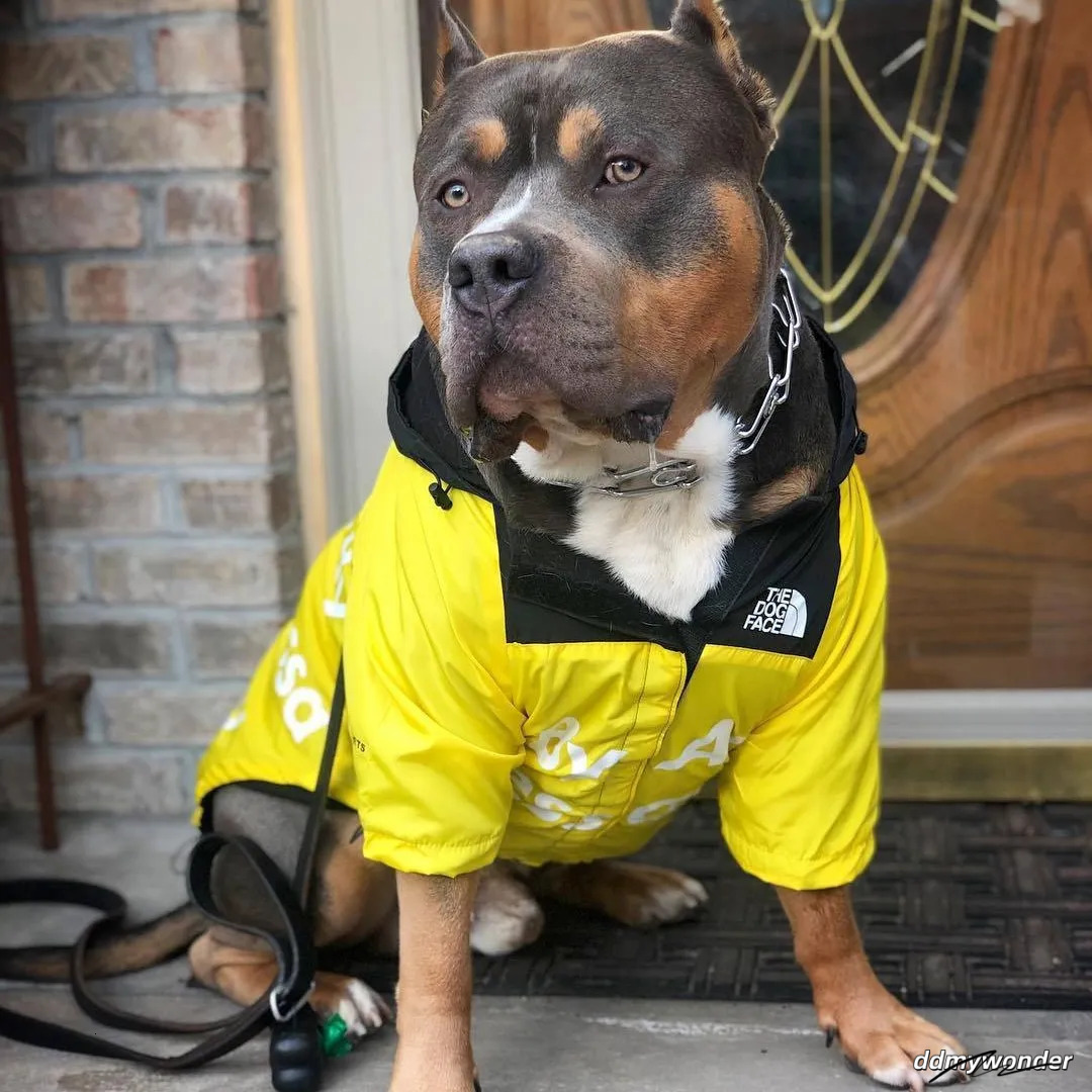 Waterproof Dog Raincoat With Adjustable Hood Tail Drawstring - Outdoor Rain Jacket For Small, Medium, And Large Dogs Ddmywonder