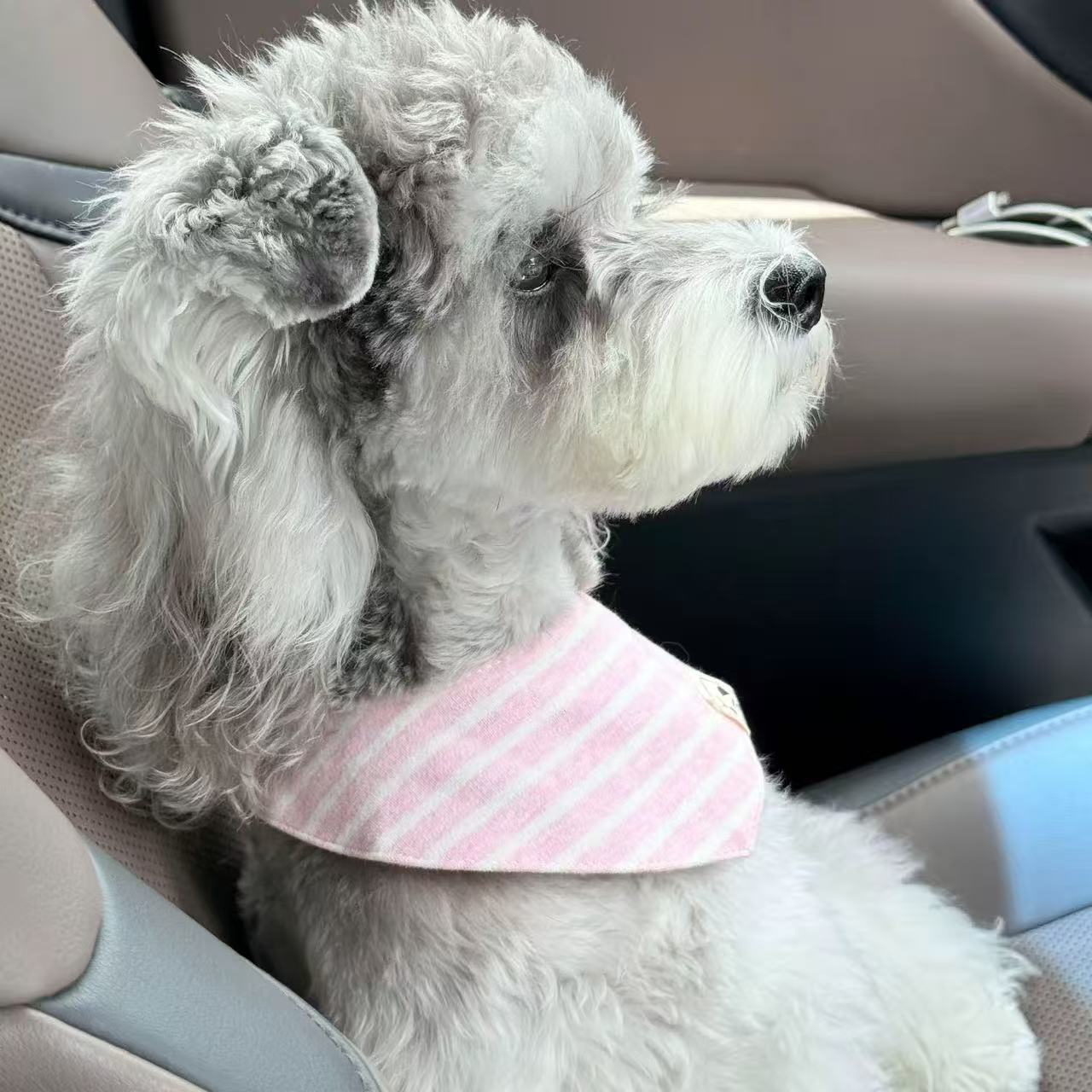 T1705 Dog bibs high-value pet scarf small dog Schnauzer Maltese decorative cat bibs