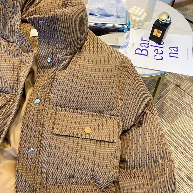 Winter Warm Parkas Coats Women Fashion Loose Standing Collar Crop Down Jacket Y2K Korean AllMatch Zipper Outerwear 251017