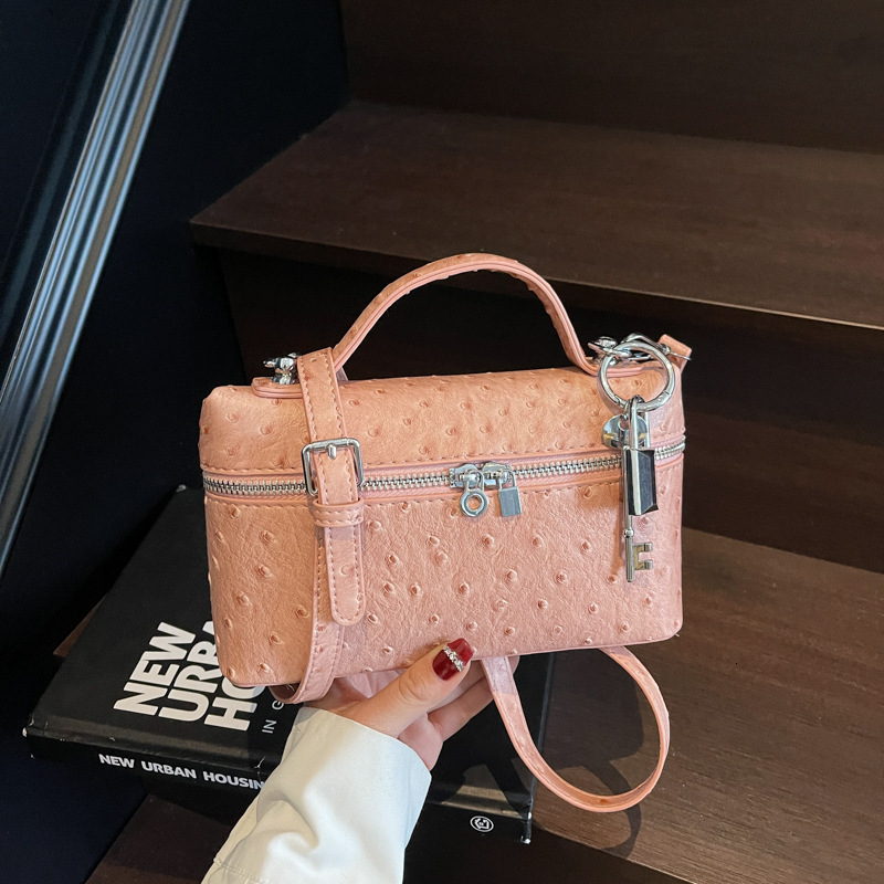 Luxury Brand Designer Bag Casual Lunch Box Bag For Women 2025 Summer High-End Handheld Makeup Bag Simple Luxury Crossbody Shoulder Bag For Women