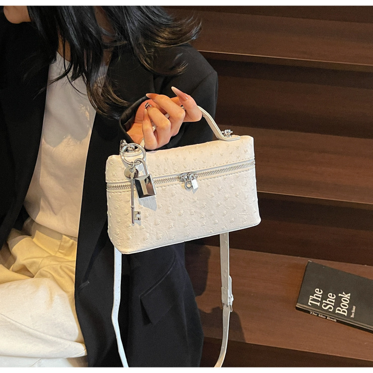 Luxury Brand Designer Bag Casual Lunch Box Bag For Women 2025 Summer High-End Handheld Makeup Bag Simple Luxury Crossbody Shoulder Bag For Women