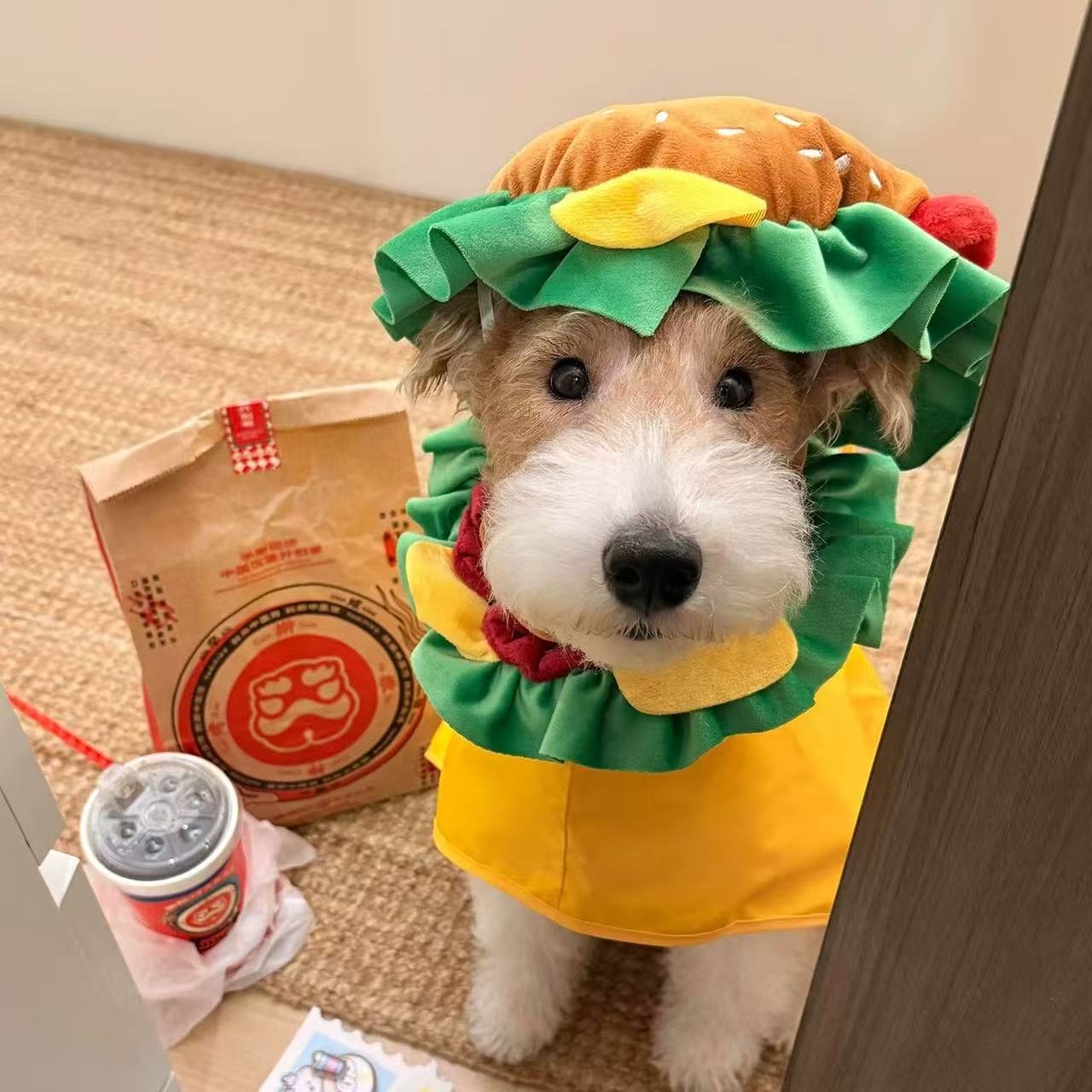 T1703 Hamburger Pet Headgear Collar Hat Cute Dog Cat Elizabethan Collar Adjustable Elastic Photo Props