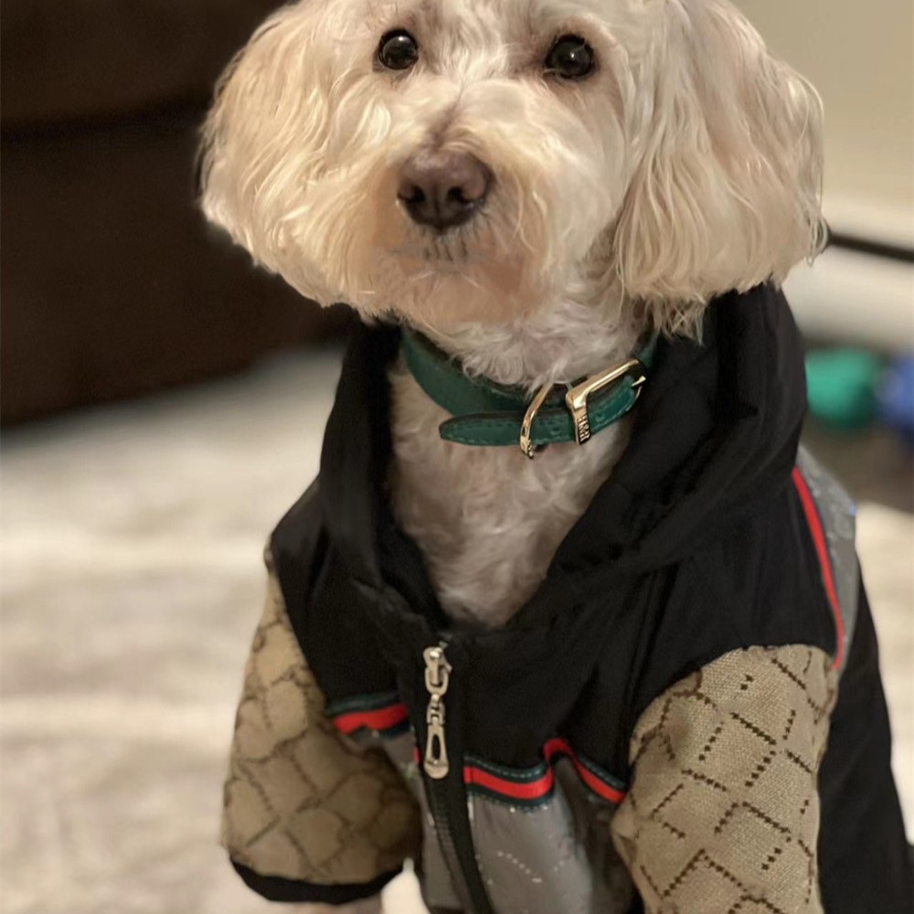 Color-Block designer dog clothes Dog Hoodie Jacket, Zip Up Windbreaker for Small/Medium Pets, Lightweight Hooded Coat with Soft Lining, Spring/Autumn,