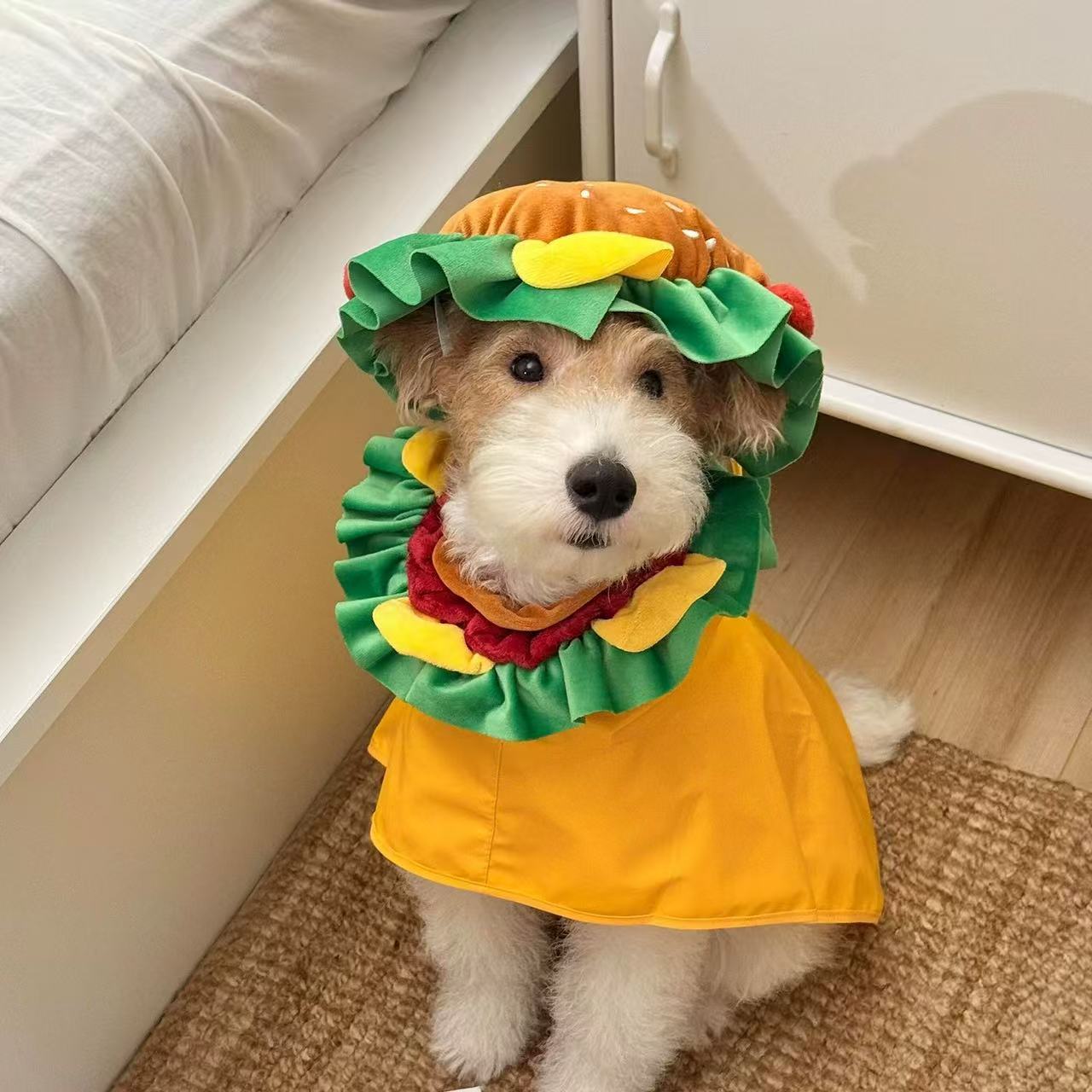 T1703 Hamburger Pet Headgear Collar Hat Cute Dog Cat Elizabethan Collar Adjustable Elastic Photo Props