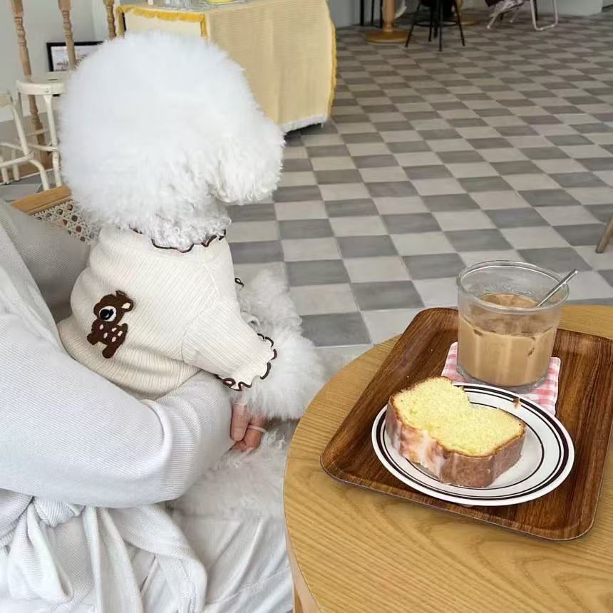 T1717 Spring and Summer New Pet Dog Cat Puff Sleeve Lace T-shirt Bichon Teddy Pomeranian Small Dog Embroidery Clothes