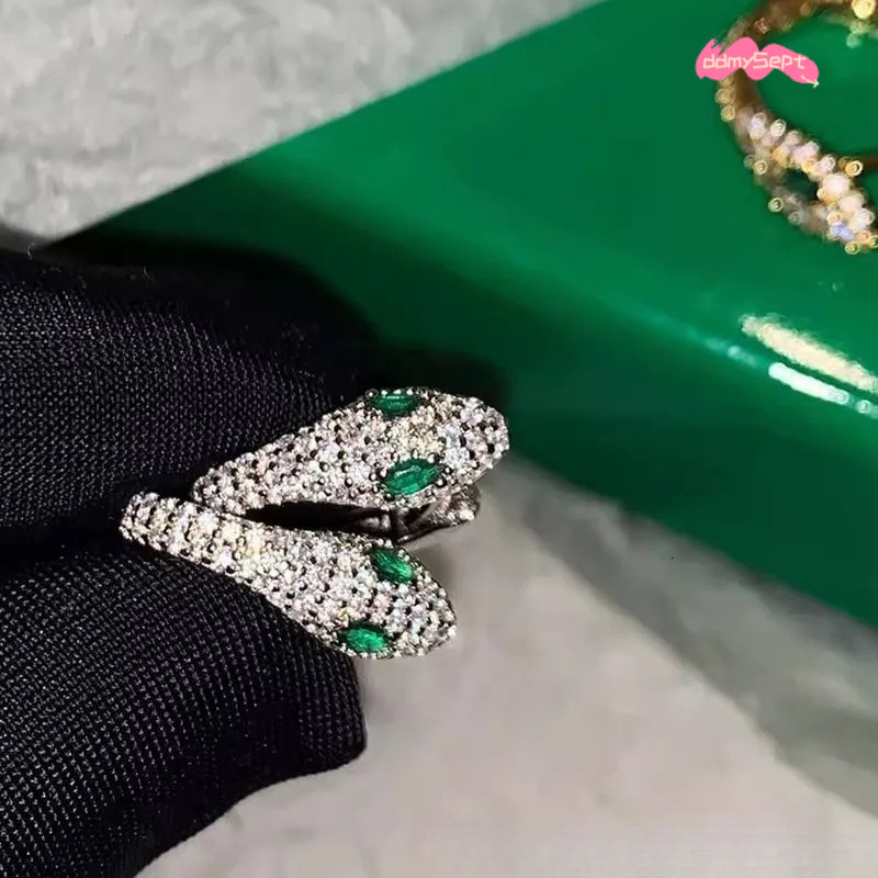 S Sterling Sier Serpentine Earrings for Women - Fashion Micro Zircon Inlaid Bright Hip Hop Style ddmysept