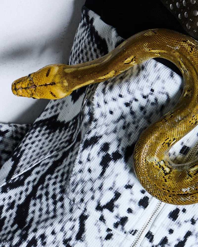 Y2K new Gothic black white snake pattern zipper men hoodie European American retro hiphop fashion high street hoodie W251020