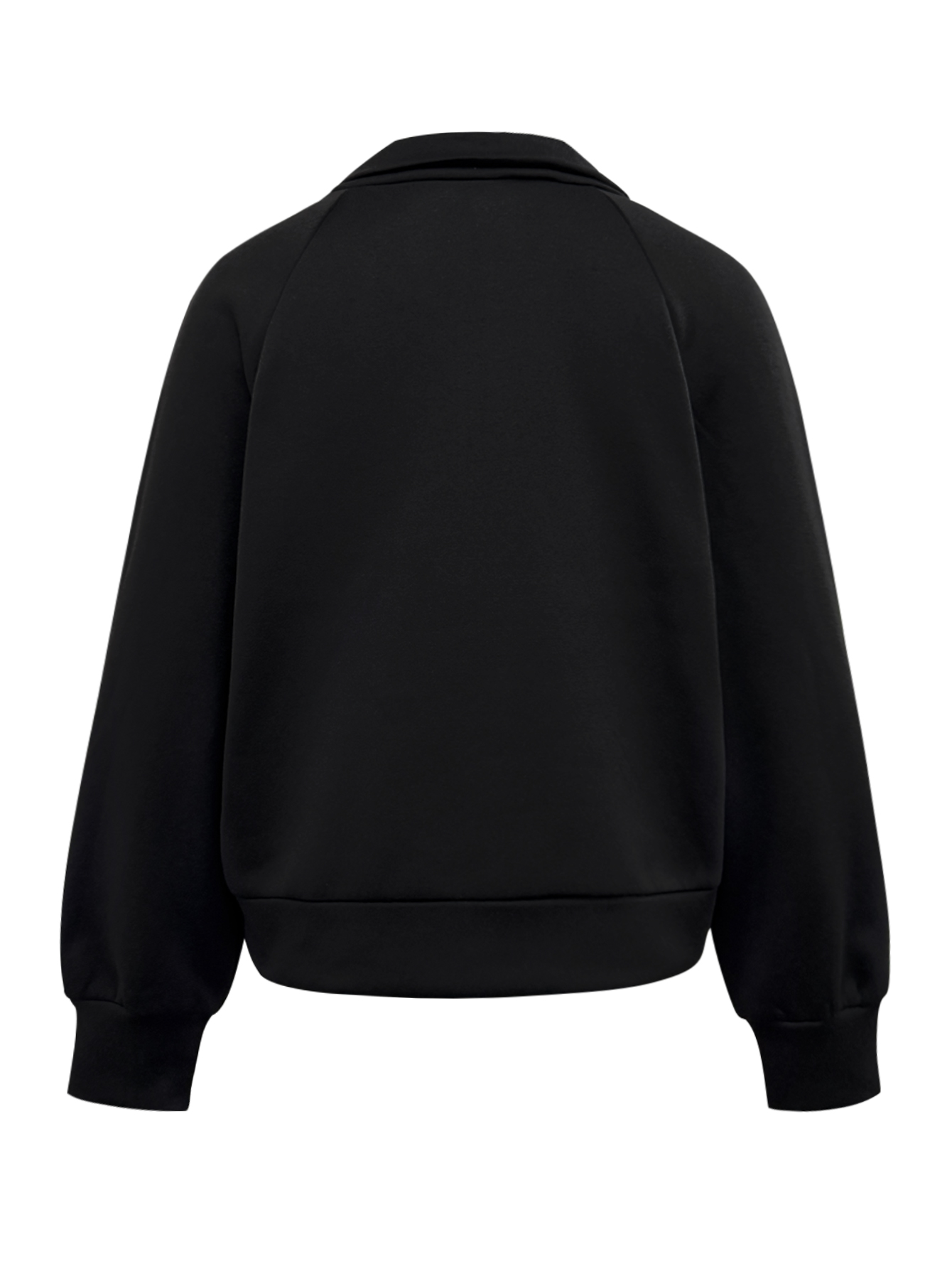 Women's Autumn & Winter Fashion Black Zipper Stand Collar Sweatshirt, Casual Commute & Office Japanese Style Pullover-CF56377