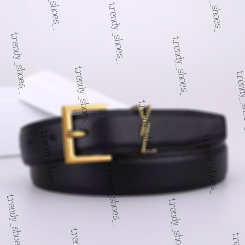 belt designer belt quiet belts for women men belt Designer High-end Women's Needle Buckle Thin Waist Belt Leather Fashion Belt 2.5 3.0 cm wide high quality 90CM-115CM A