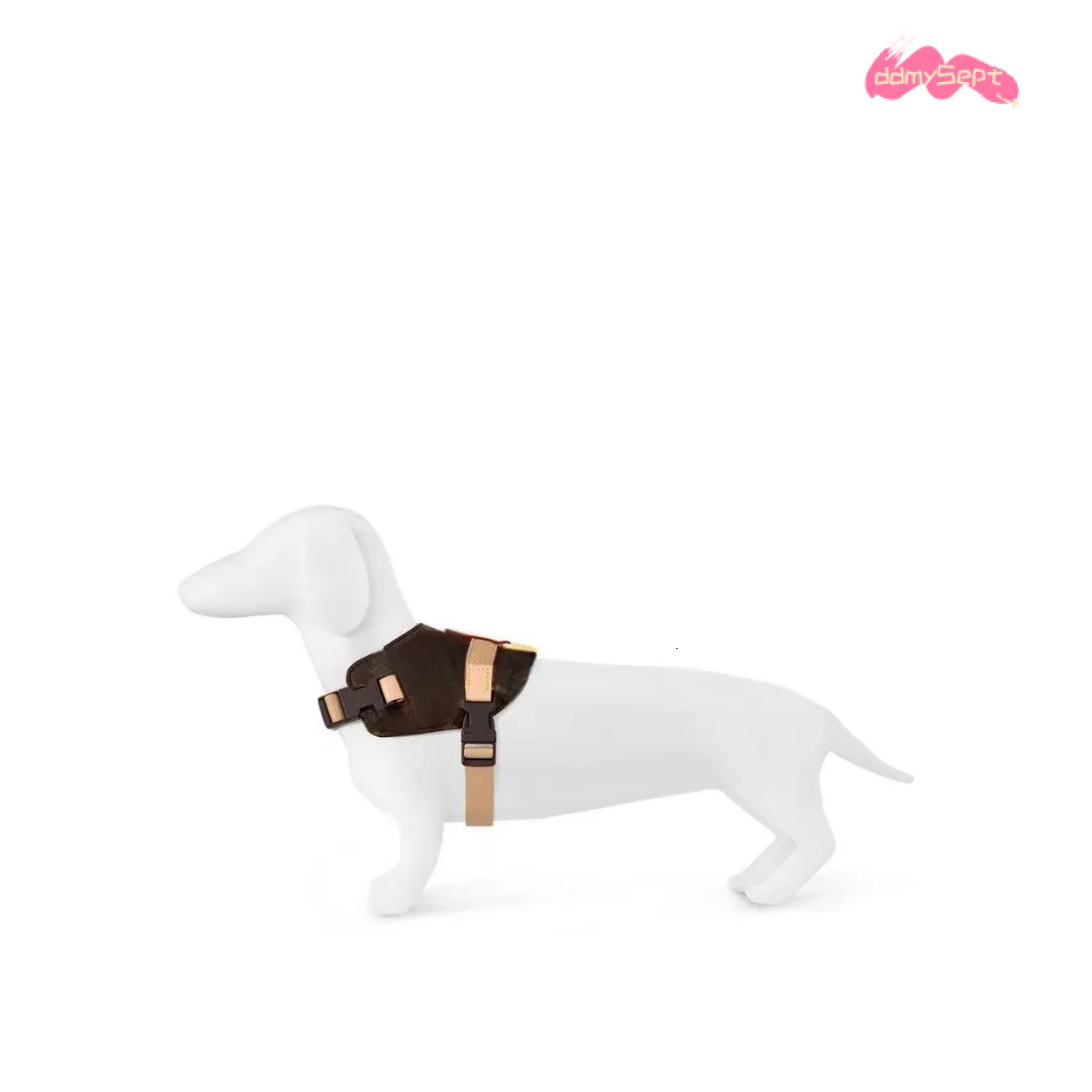 Designer Dog Harness, No-Pull Pet Vest with Classic Letter Pattern, No Choke, Adjustable, Easy Walking and Training for Small, Medium Dogs Brown B267  - view 4
