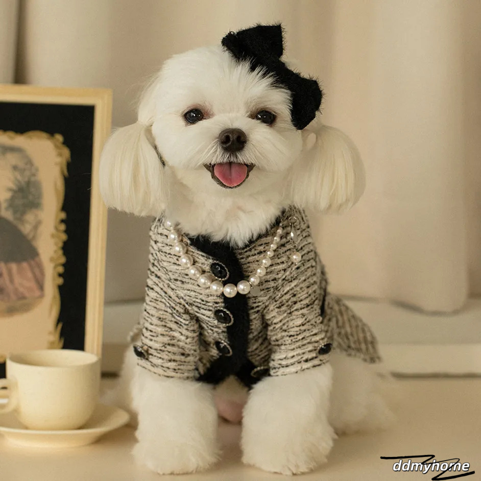 Princess Dog Apparel Dress Cute Pet Clothes Outfit Costume Puppy Dresses For Small Dogs Cat Girl Female Teacup Yorkie Chihuahua XS (Excluding hair cli