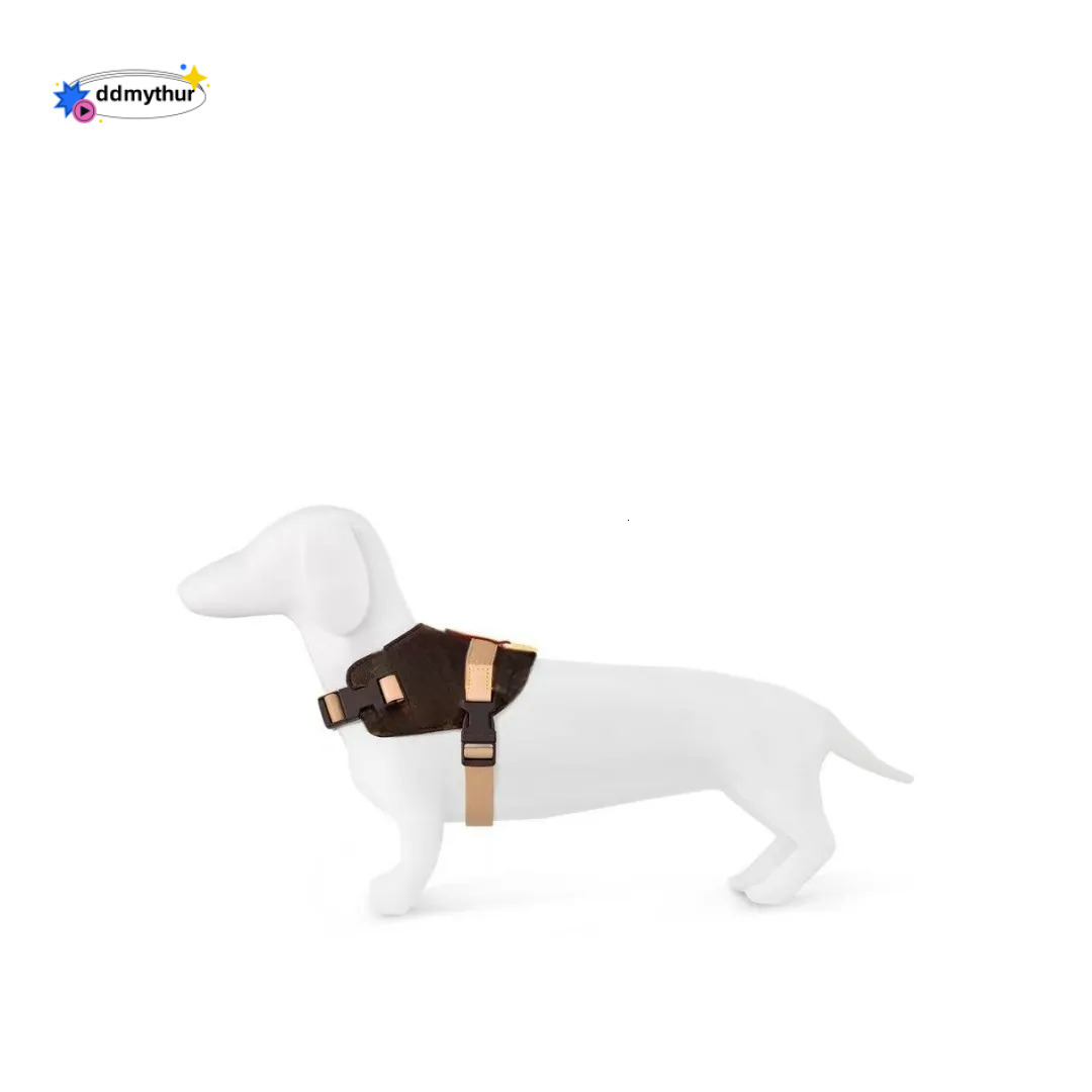 Designer Dog Harness, No-Pull Pet Vest with Classic Letter Pattern, No Choke, Adjustable, Easy Walking and Training for Small, Medium Dogs Brown B267 