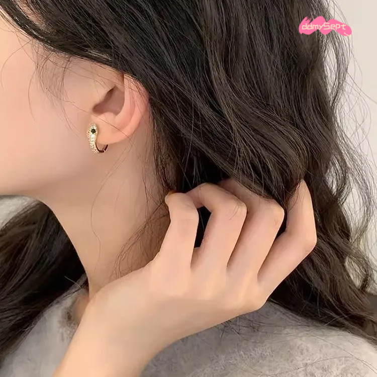 S Sterling Sier Serpentine Earrings for Women - Fashion Micro Zircon Inlaid Bright Hip Hop Style ddmysept