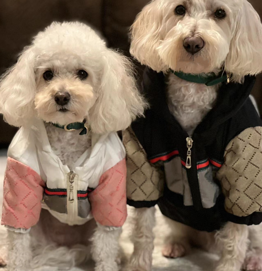 Color-Block designer dog clothes Dog Hoodie Jacket, Zip Up Windbreaker for Small/Medium Pets, Lightweight Hooded Coat with Soft Lining, Spring/Autumn,