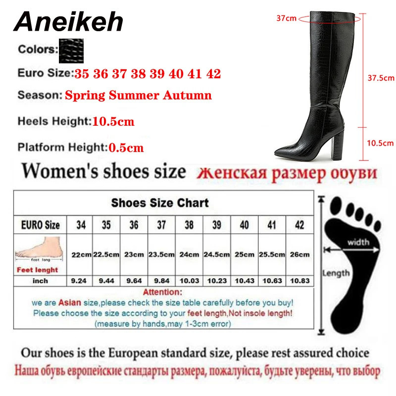Aneikeh Pointed Thick Heels Knee Long Boots Womens 2025 SpringAutumn Patent Leather Pattern Panel Side Zipper Boots 251021