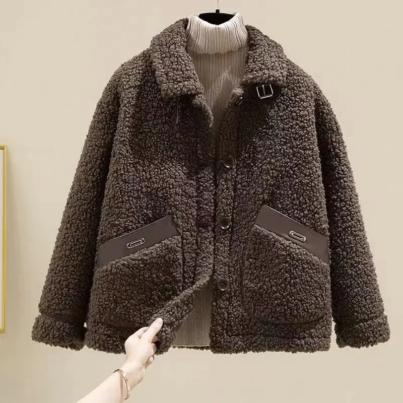 Lamb Fur Short Jacket Womens Of The Season Autumn Winter Korean Style Integrated Particle Fleece Compact Size Vers 251021