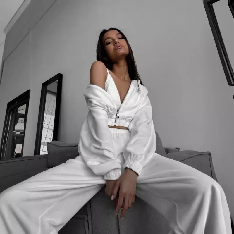 Fall Winter Womens Fashion Hooded Stand Collar Sweatshirt Set Casual Loose Fit Two Piece Streetwear Lounge Gym Ourdoor Outfit 251021