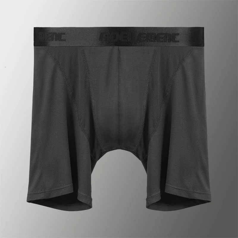 Sports Underwear Mens AntiWear Leg Modal Professional Running Fitness Tight Long Leg QuickDrying Extended Boxer Briefs 251021