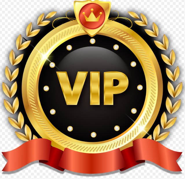 ZZ-WYK VIP Exclusive Payment Portal Orders Balance Top-Up & Express Shipping