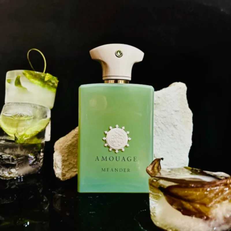 100ml Unisex Womens Eau De Parfum Long Lasting Luxury Perfume Collection with Floral Oriental Woody Spicy Citrus Musk Notes L251021