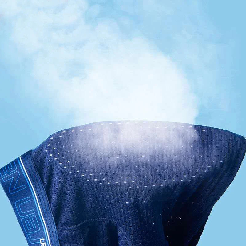 4pcs Mens Boxer Shorts Ice Silk Underwear Plus Size Underpants Cool Breathable Sexy Slim Panties Mesh Lingerie Wholesale Lots 251021