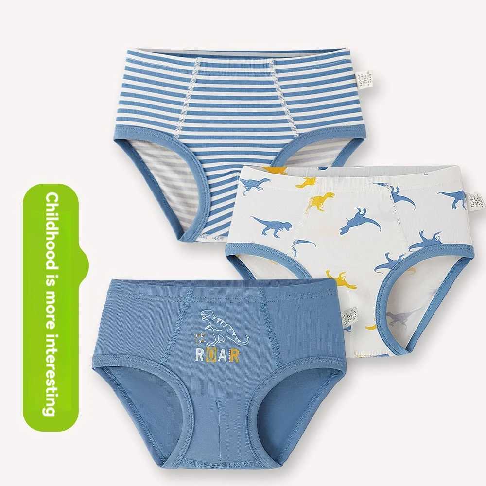Boys Briefs Underwear 100 Cotton Dinosaur Print for Kids SweatAbsorbent Breathable Thin Style for All Seasons No Pinchin J251021