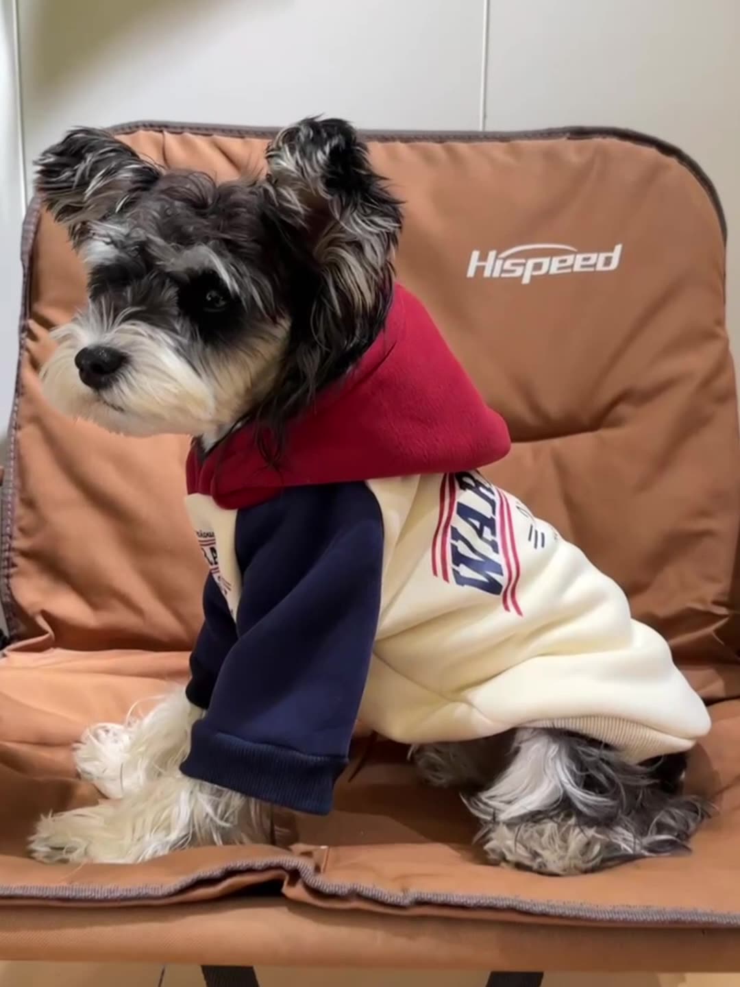 dog clothes Dog Hoodie, Color-Block Fleece Sweatshirt for Small/Medium Pets, Soft Warm Pullover with Rib Cuffs, Red/Navy, XS 9XL Winter Coat with Plus