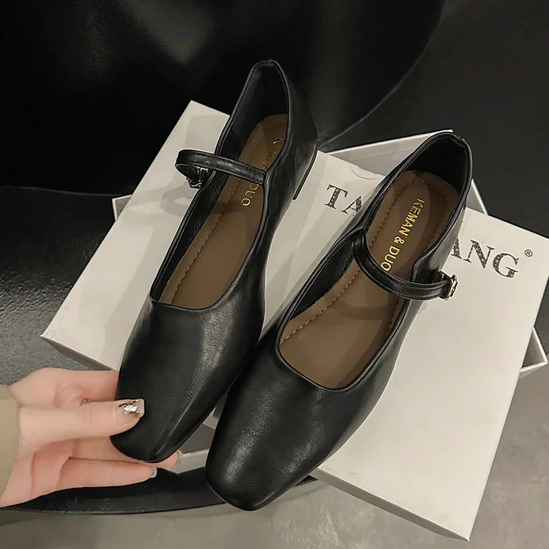 Mary Jane Single Shoes Thick Heel Shoes Elegant Classic Retro Square Toe Comfortable Soft Shallow Cut Low Heel Womens Shoes 251021