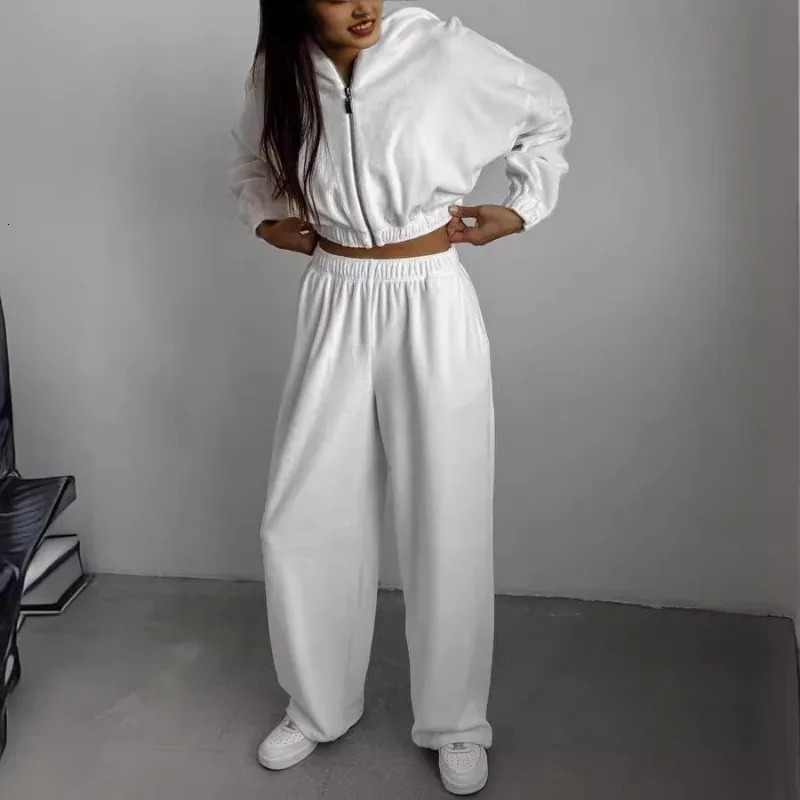 Fall Winter Womens Fashion Hooded Stand Collar Sweatshirt Set Casual Loose Fit Two Piece Streetwear Lounge Gym Ourdoor Outfit 251021