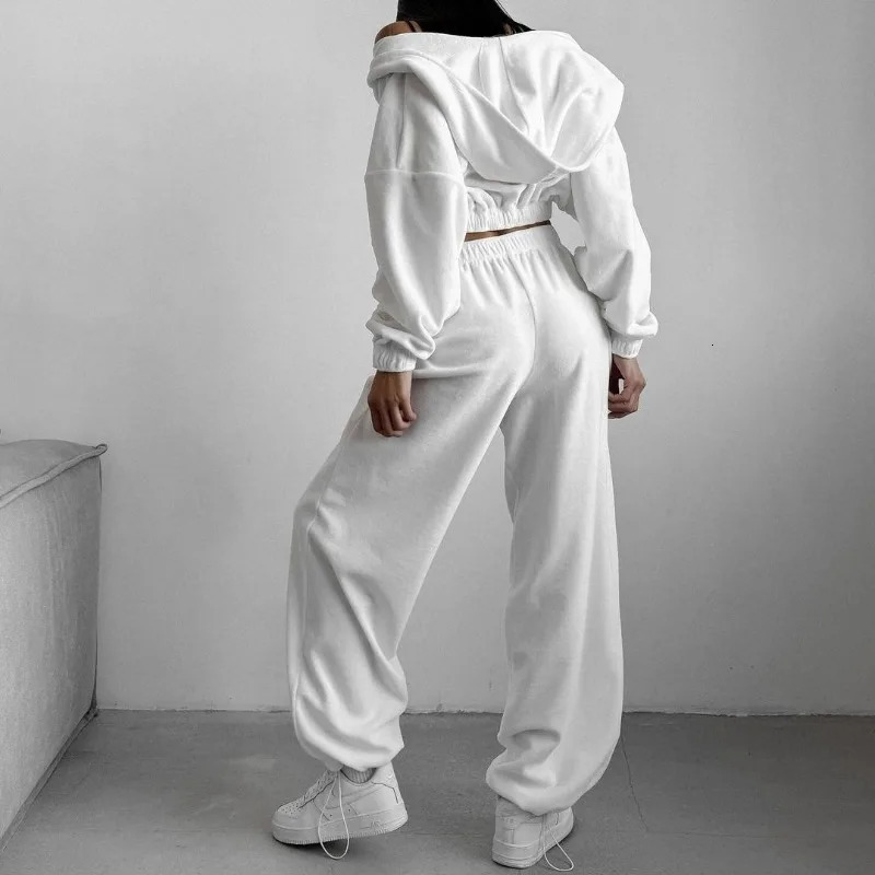 Fall Winter Womens Fashion Hooded Stand Collar Sweatshirt Set Casual Loose Fit Two Piece Streetwear Lounge Gym Ourdoor Outfit 251021