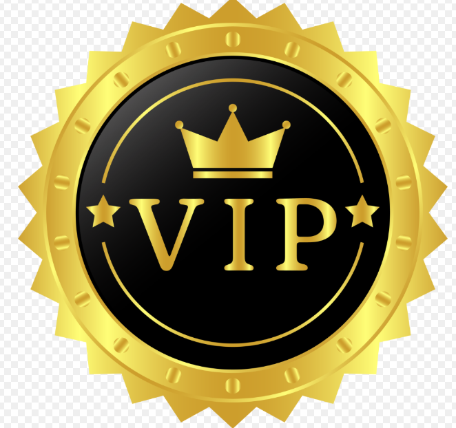 ZZ-WSH VIP Exclusive Payment Portal Orders Balance Top-Up & Express Shipping