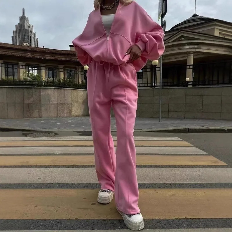 Winter Sweat Suit Set Pink Women Zipper Hoodies 2 Two Pieces Outfit Pants Casual Loose Winter Warm Tracksuits Sport Hooded Women 251010