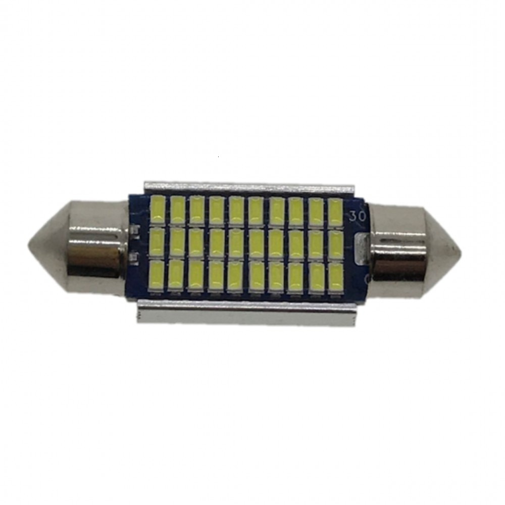 C5W dual pointed reading light 39mm 3014 30smd with decoding roof light