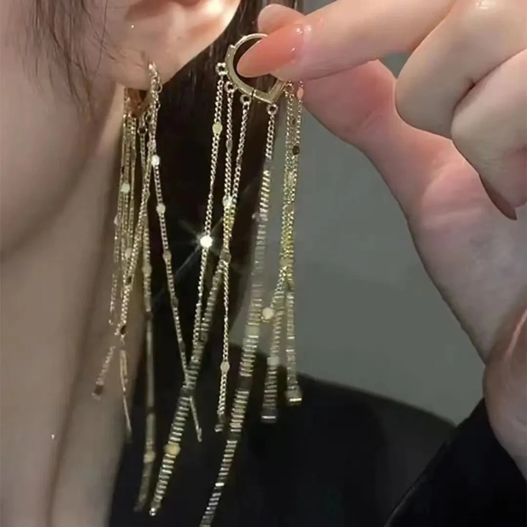 Droplet Shaped Long Tassel Earrings 251022