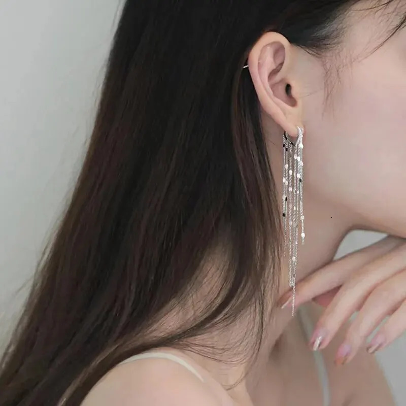 Droplet Shaped Long Tassel Earrings 251022