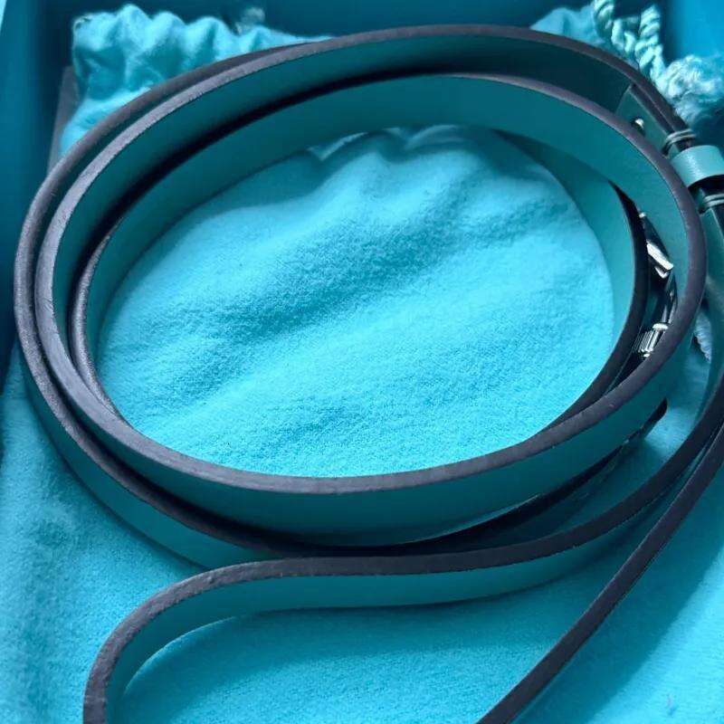 Designer Leash Set Blue Leather Collars-Stylish Collar With Metal Tag- Sytle, Soft Adjustable For Small Dogs Advanced Dog Accessories S Free Shipping 